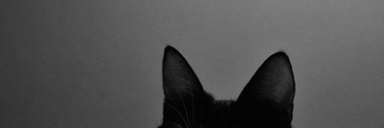 rwifan1's profile banner image
