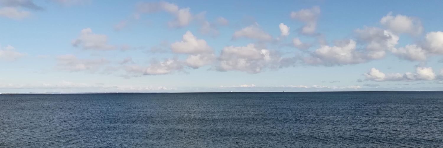 Chiara Libiseller banner