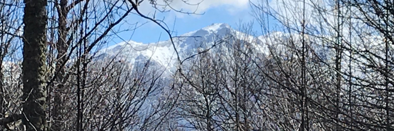 Raul Martín Bejarano banner