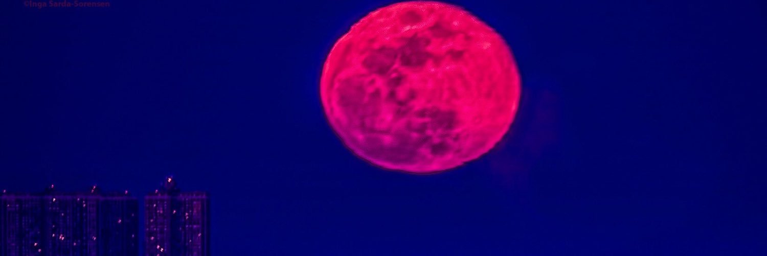 Will34__'s profile banner image