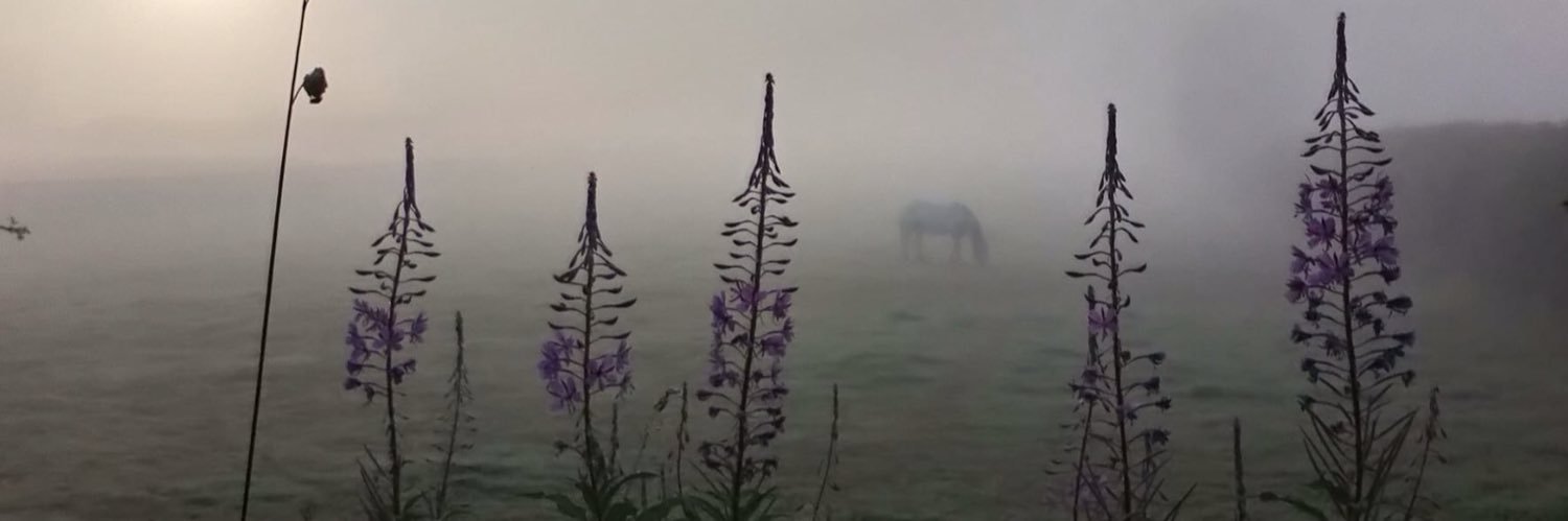 LG1660's profile banner image