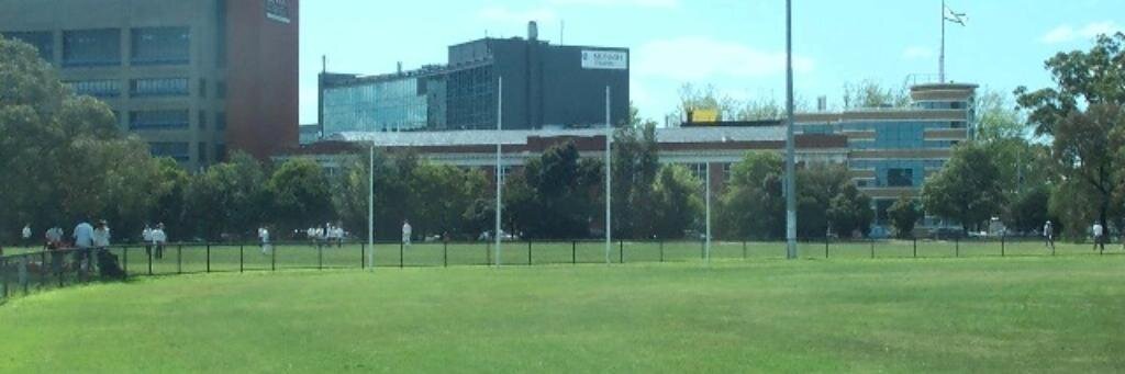 Monash Gryphons banner