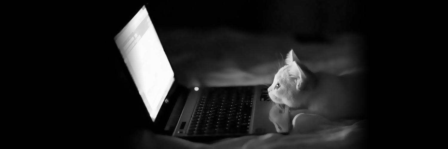 les_animaux_'s profile banner image