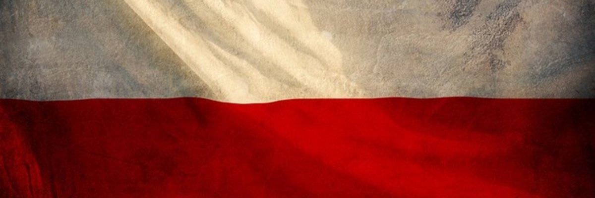 zibi_ma's profile banner image