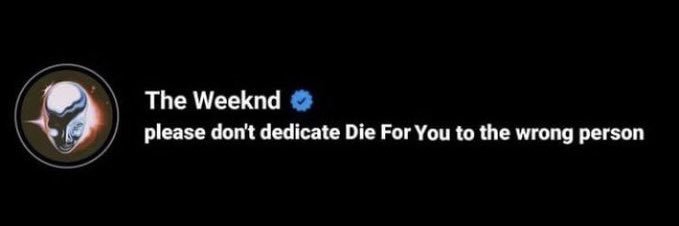 Kittenslangg's profile banner image