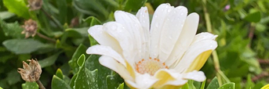 alngerh's profile banner image
