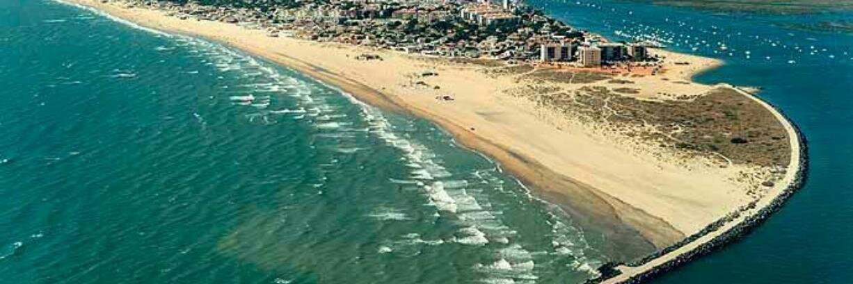 juan carlos lozano banner