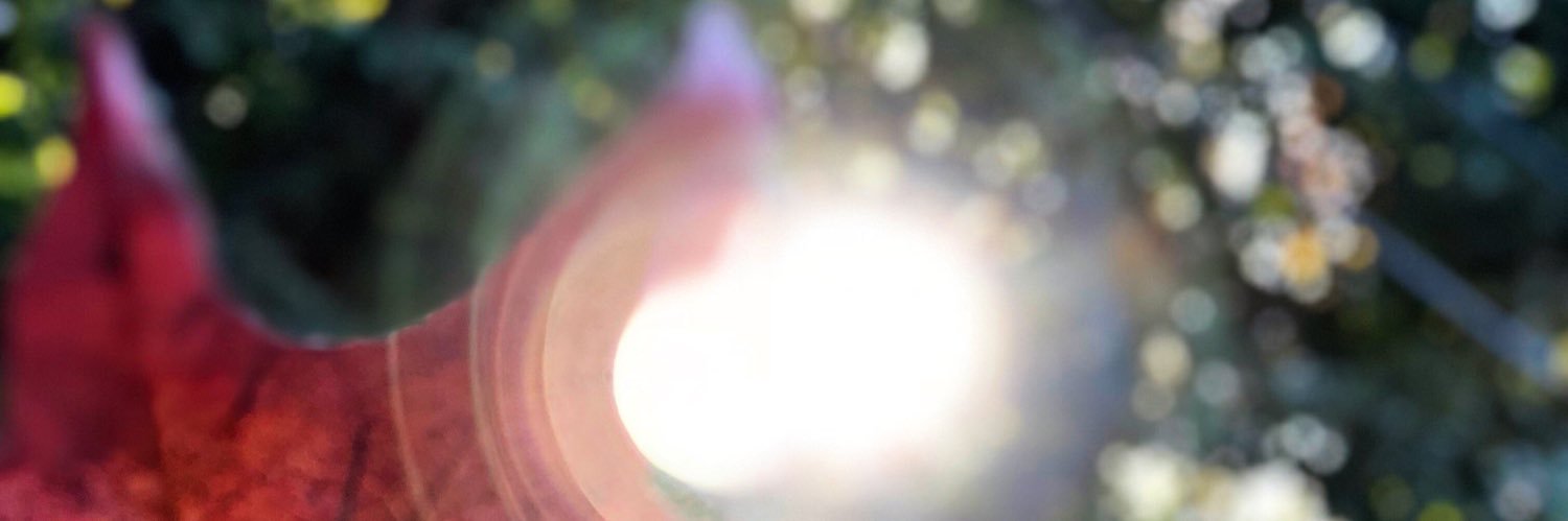 katherinebodine's profile banner image