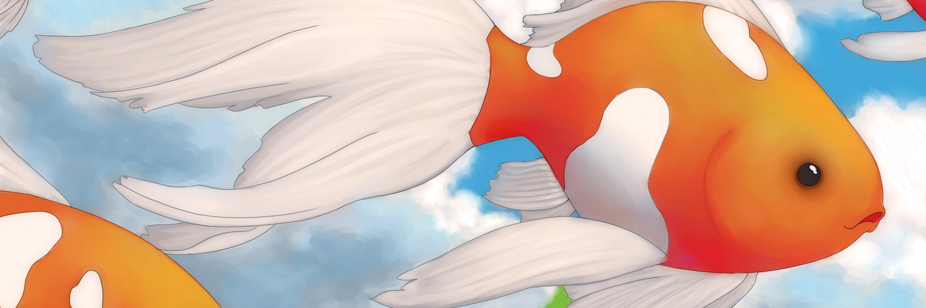 VariaZim's profile banner image