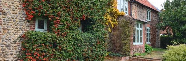 LangarHouse's profile banner image