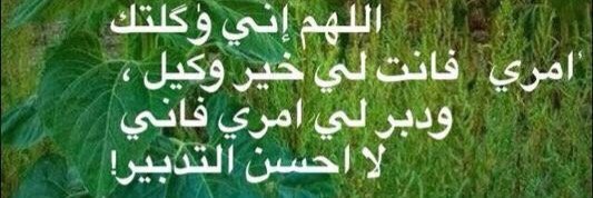 alrashed86's profile banner image