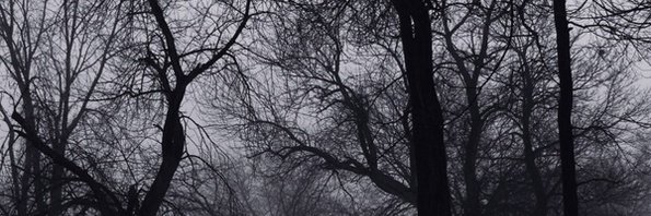 heirofedom's profile banner image
