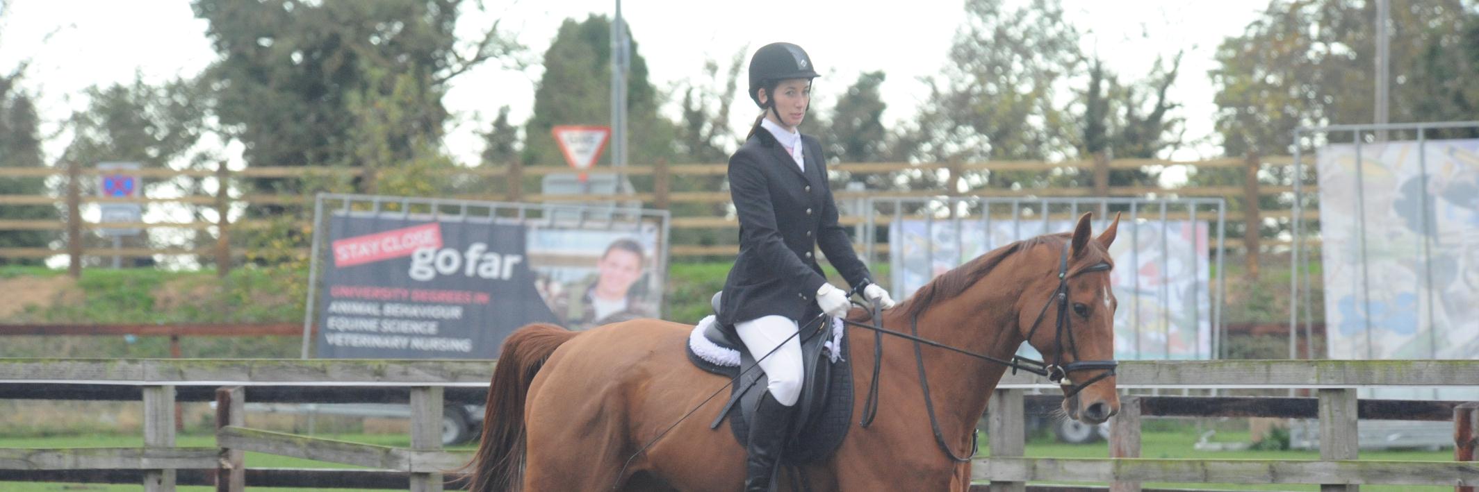 Hannah Pollard banner