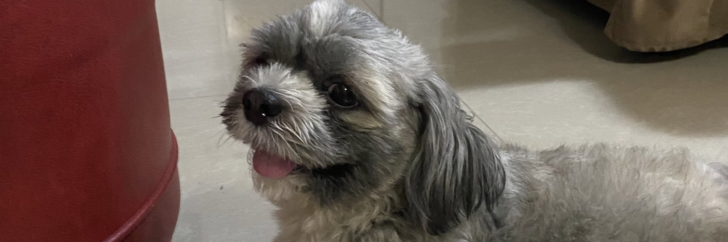 jpunz_'s profile banner image