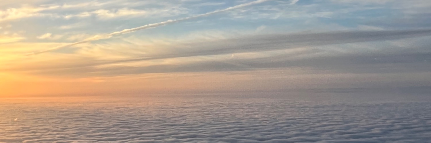 Shannon Ewing banner