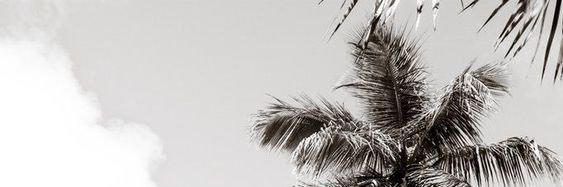 SammyMtzz's profile banner image