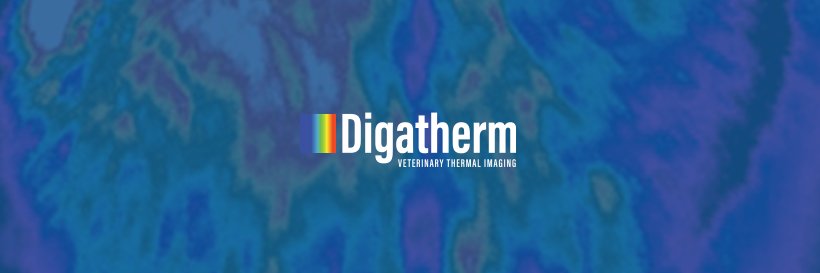 digatherm's profile banner image