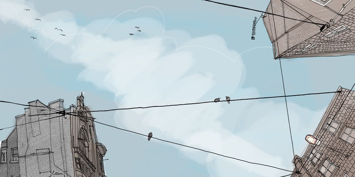 Alejandro S. C. banner