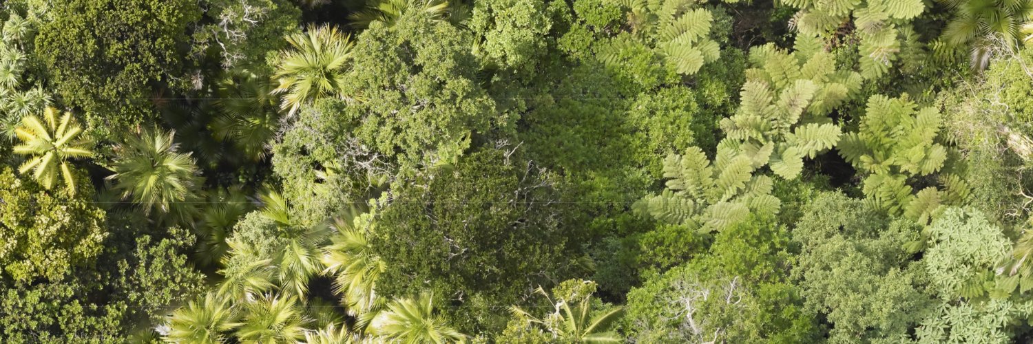 Dendra Systems banner