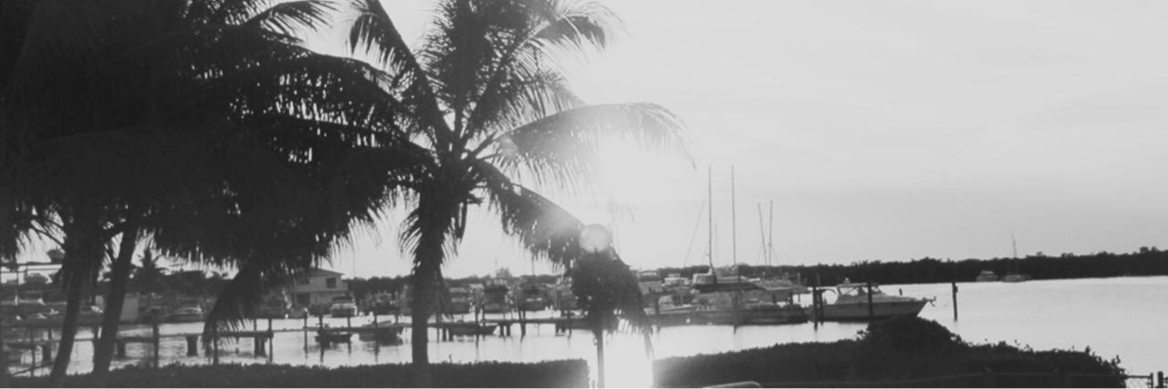 blairesprgdr's profile banner image