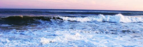 softlyrafael's profile banner image