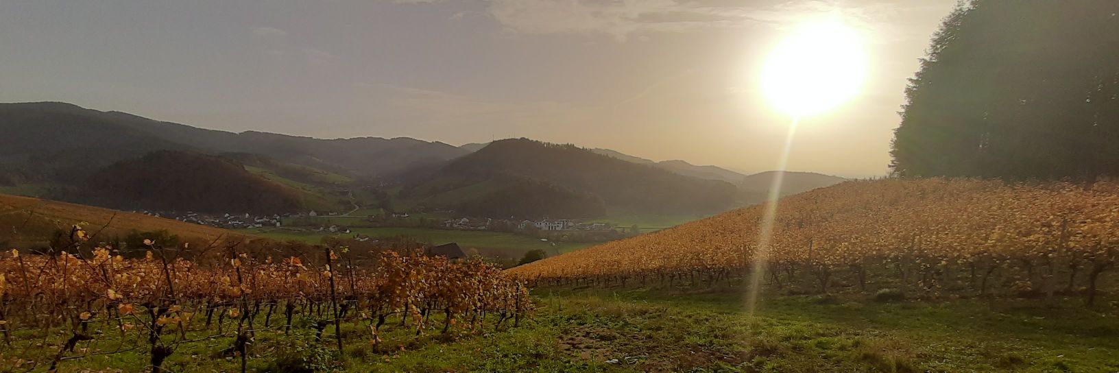 BHeimpel's profile banner image