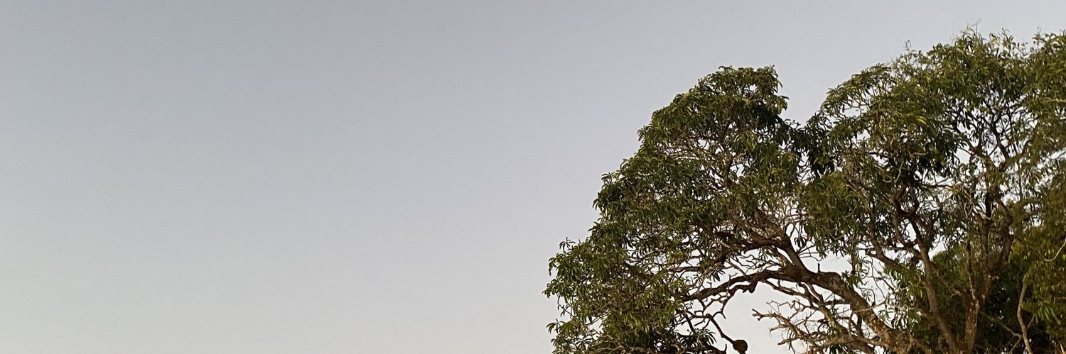 joghagge's profile banner image