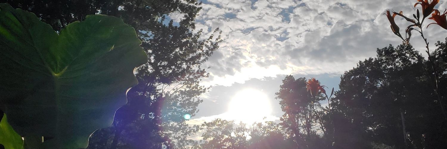 MidwestMonster_'s profile banner image