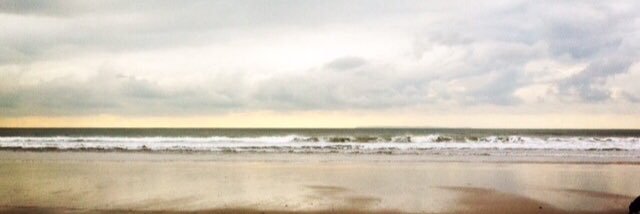 Alexandra Bushell banner