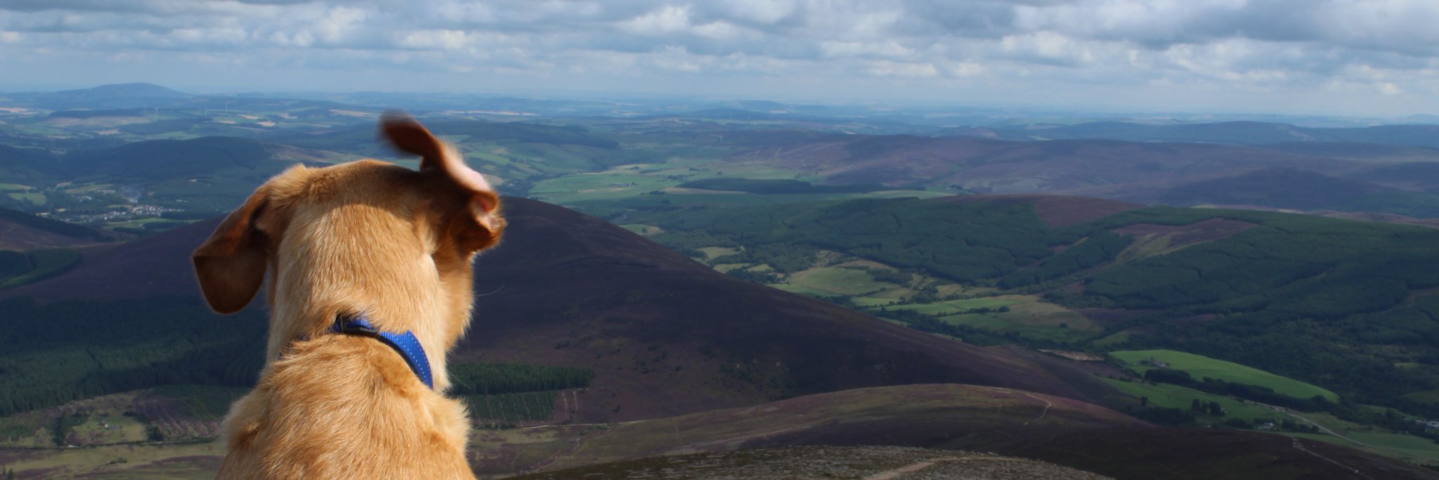 GarethJacob's profile banner image