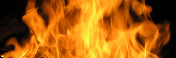 HonsyTPFFA1182 Profile Banner