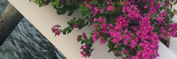 SMALLLOOLICATTY's profile banner image