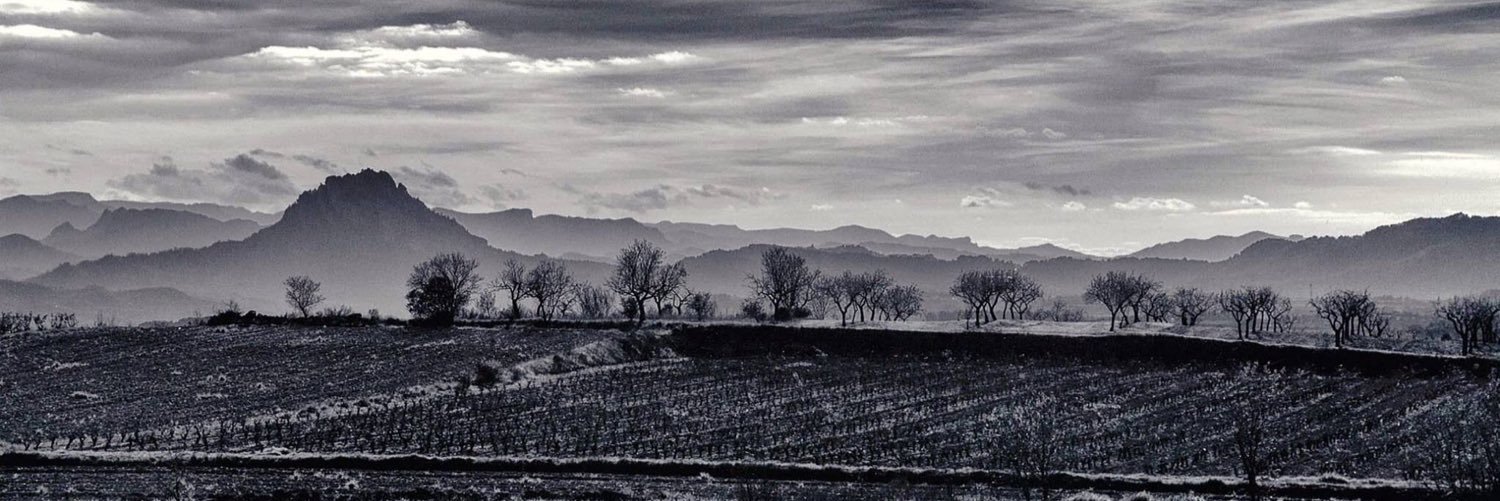 diffwines's profile banner image