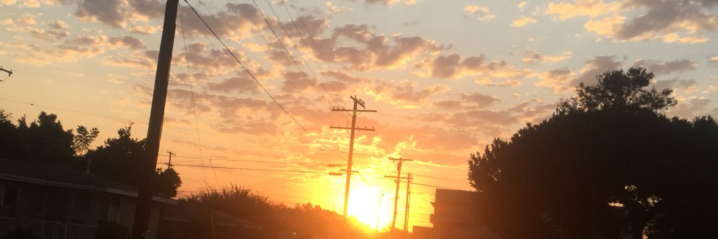 sean 📹 banner