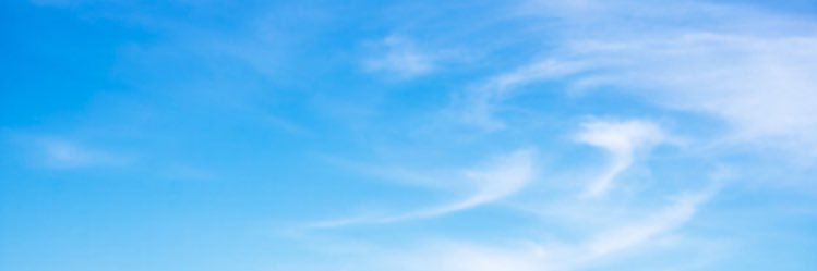 CardoneMrs's profile banner image