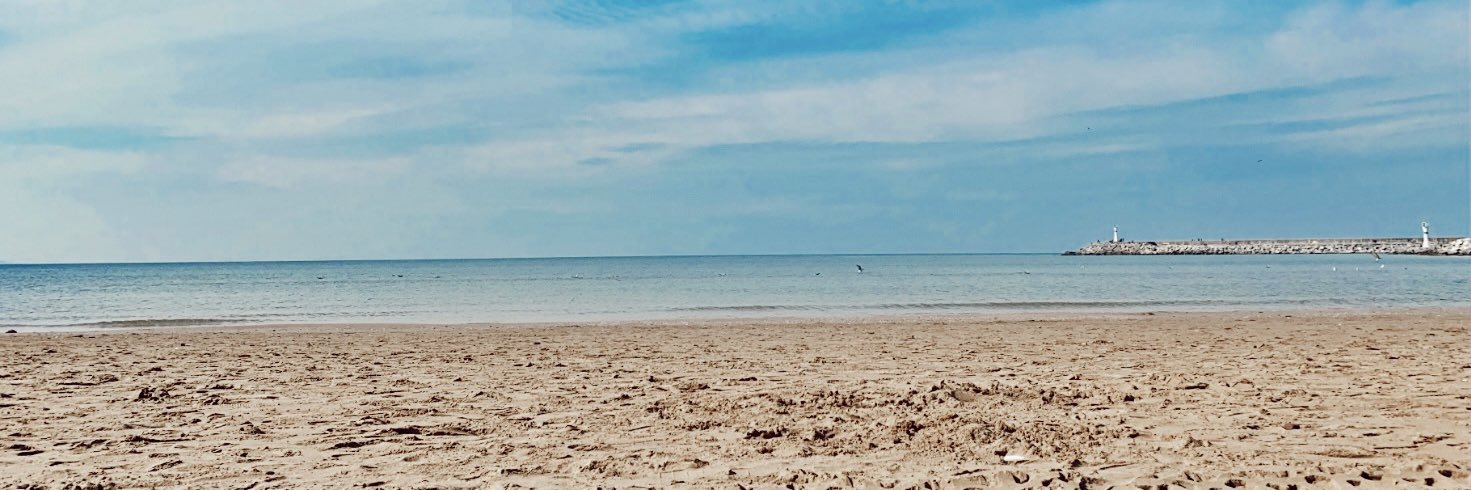 firodaderler's profile banner image