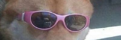 stemkopp's profile banner image