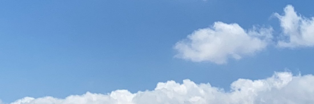 Chris Coleiro banner