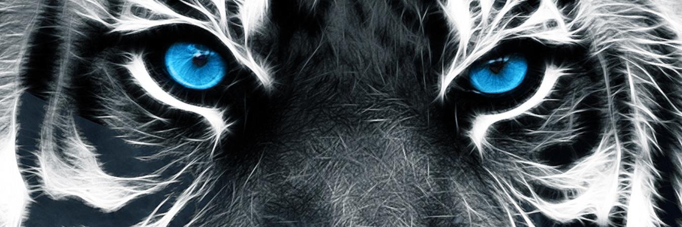 javinow1's profile banner image