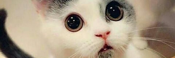 isinvalid's profile banner image