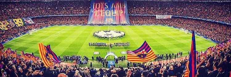 AliFifafan's profile banner image
