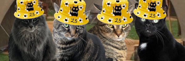 Wow_GiantKitty Profile Banner