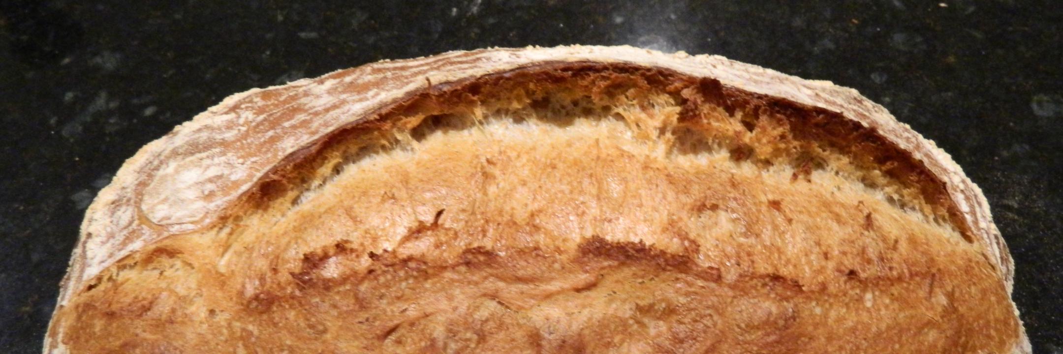 🍞 Philippe Le Toquin 🍞 banner