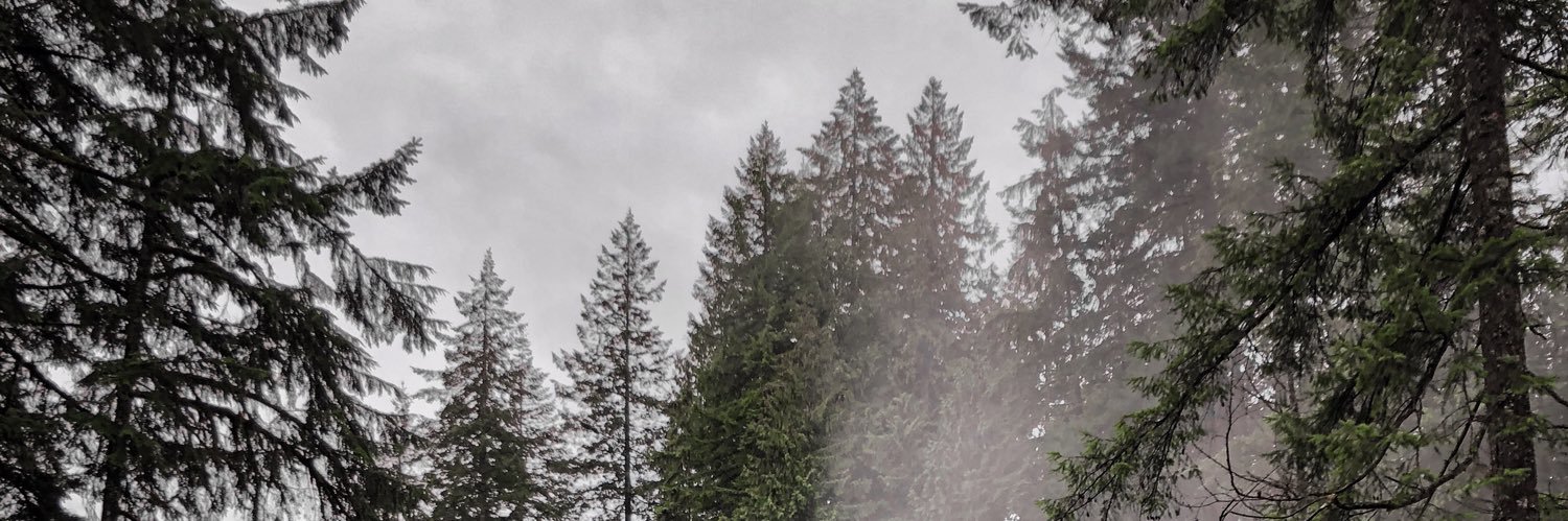 andrea_navarroc's profile banner image