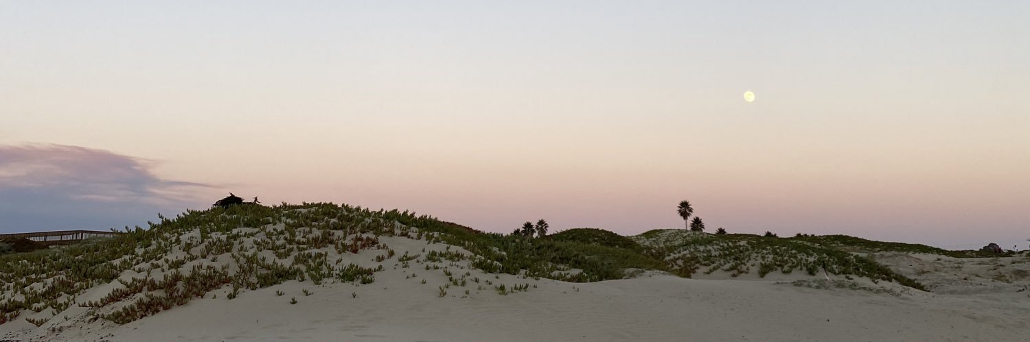 samipeachey's profile banner image