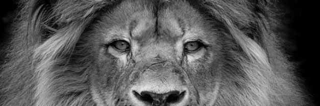 JonBowman9's profile banner image