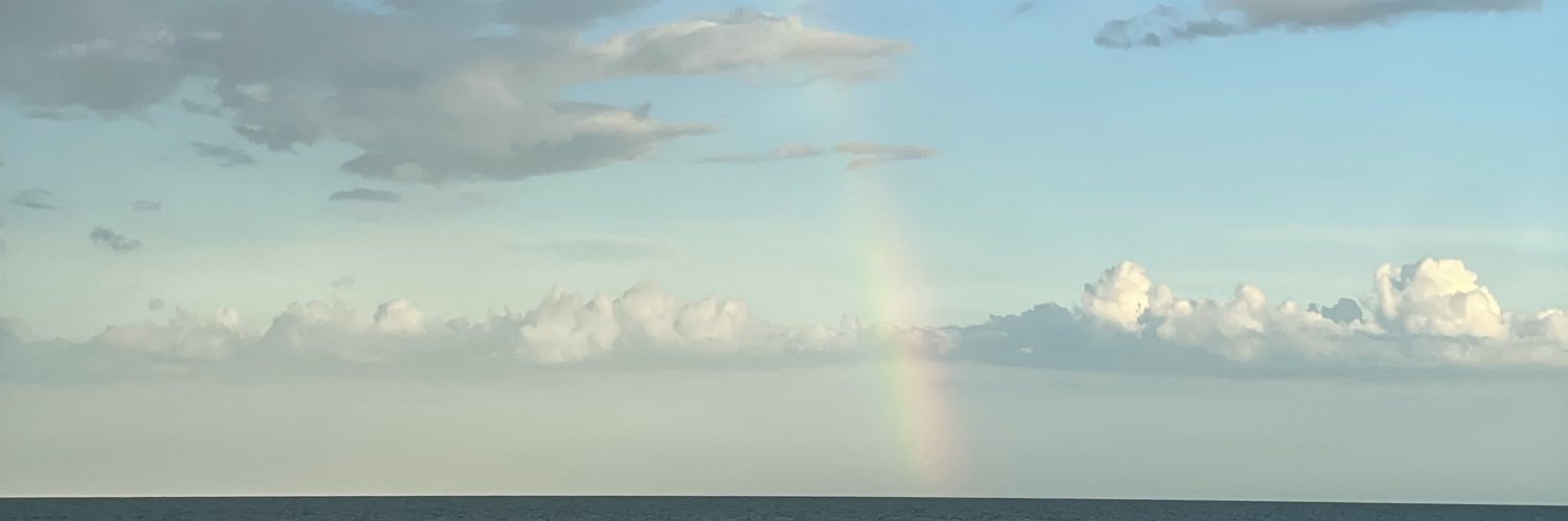 tinyTonTiptoe's profile banner image