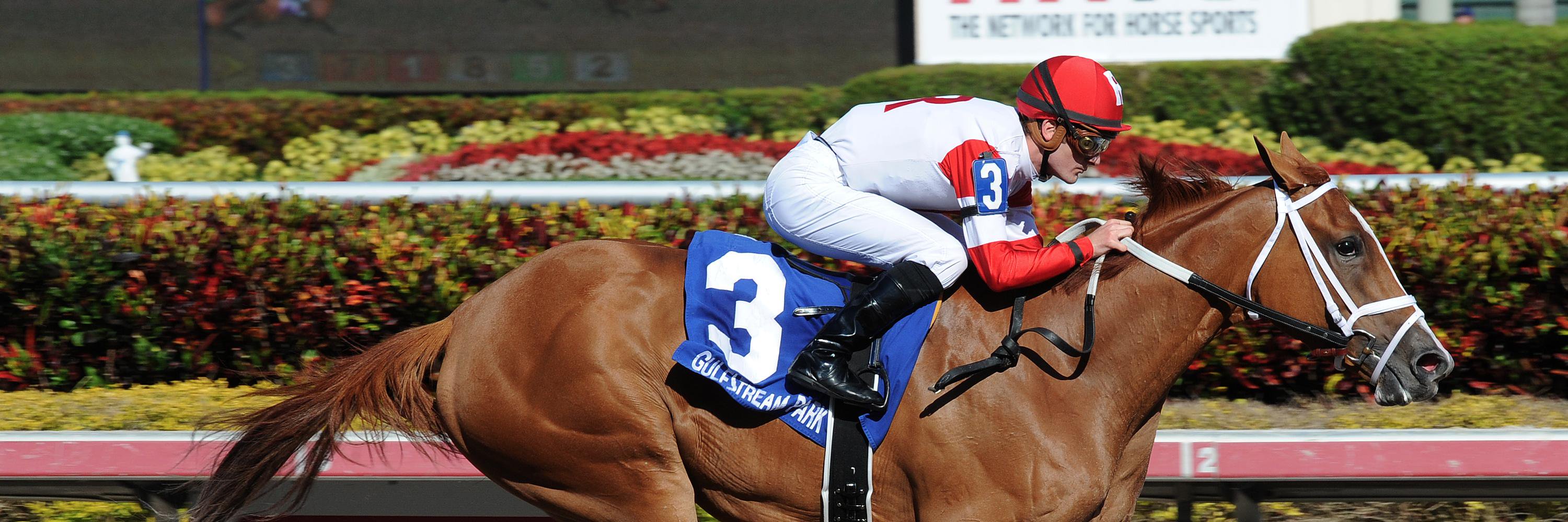 VirginiaHorseRacing banner