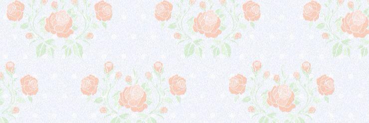 SofiChunChun's profile banner image