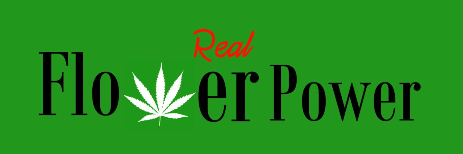 GreenFlowerGrp's profile banner image